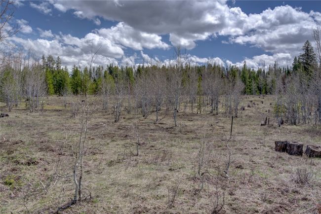 View of landscape featuring a forest view | Image 23