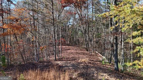 LOT 197 Spring Winds Dr, Cleveland, GA, 30528-5381 | Card Image