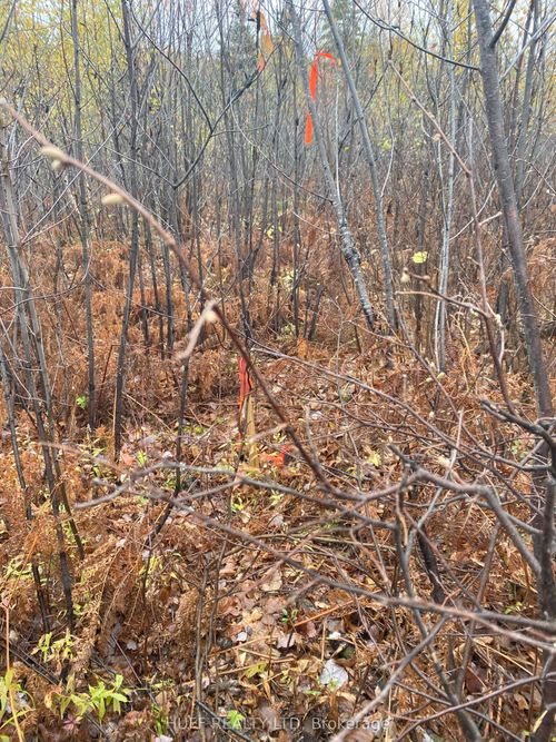 Lt 1 Con 6 54r-6390 Lot 1 Con 6 Marter Twp Road, Englehart, ON, P0J1H0 | Card Image