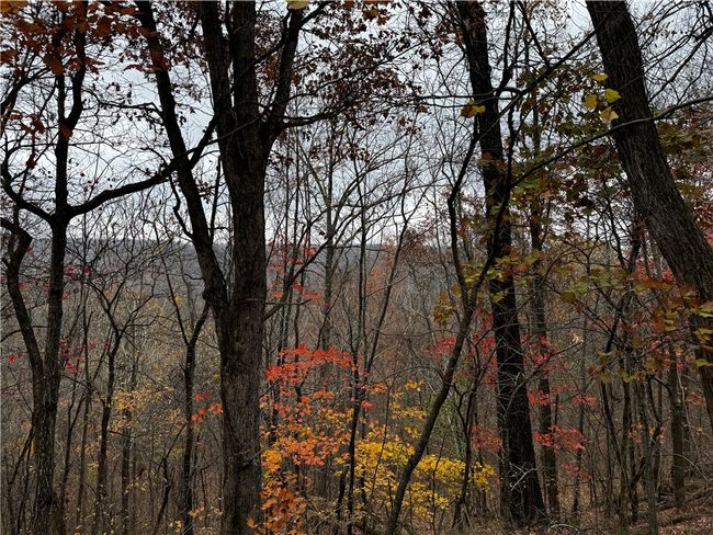 Image | Image 18