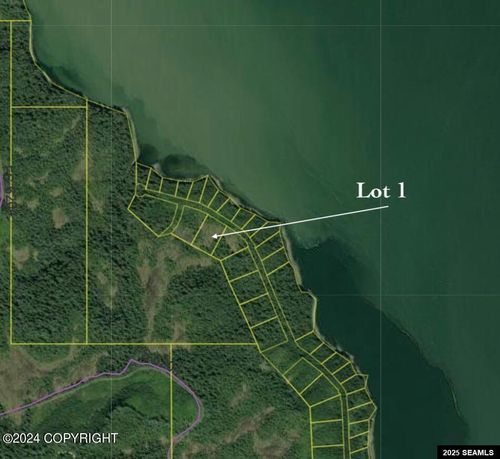 Lot 1 Frederick Pt E, Petersburg, AK, 99833-0420 | Card Image