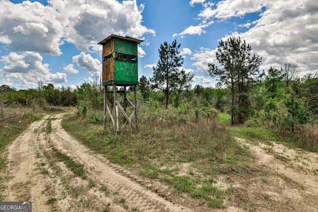0 Kemp Rd, Home with 0 bedrooms, 0 bathrooms and null parking in Buena Vista GA | Image 14