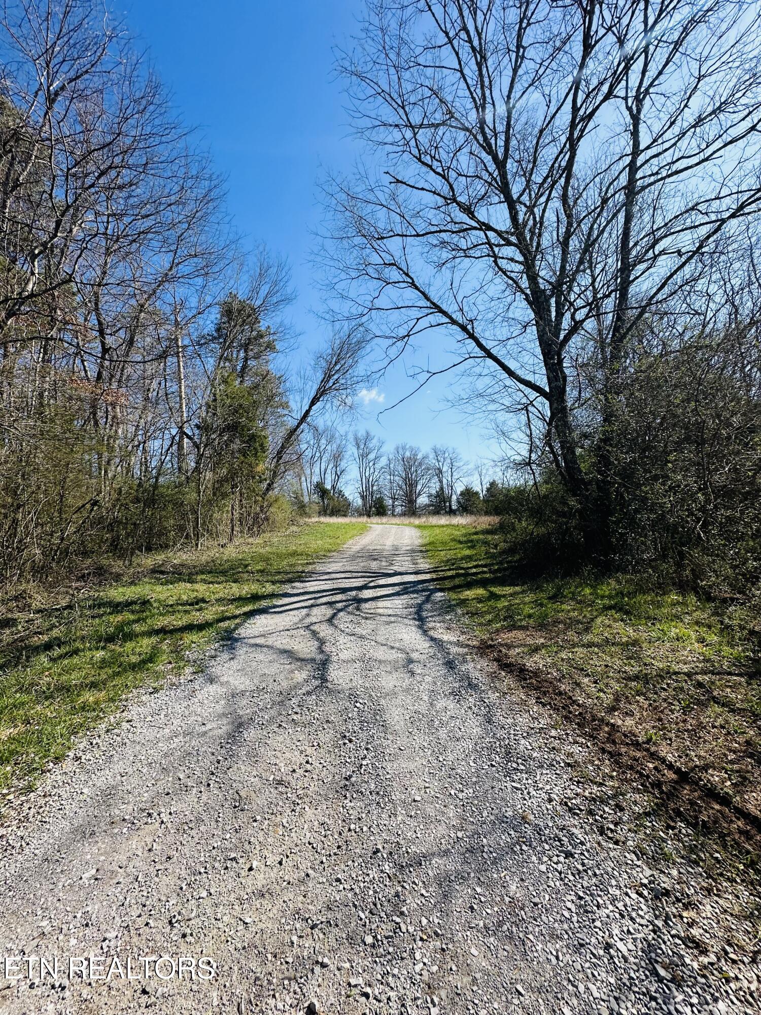 Land in Pikeville 4