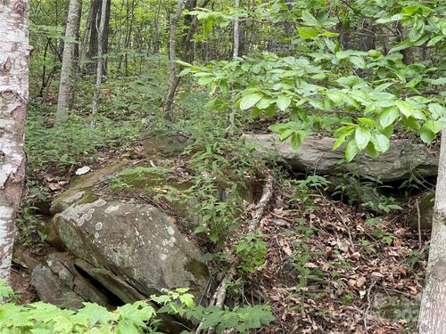 0000 Lytle Cove Rd, Swannanoa, NC, 28778 | Card Image
