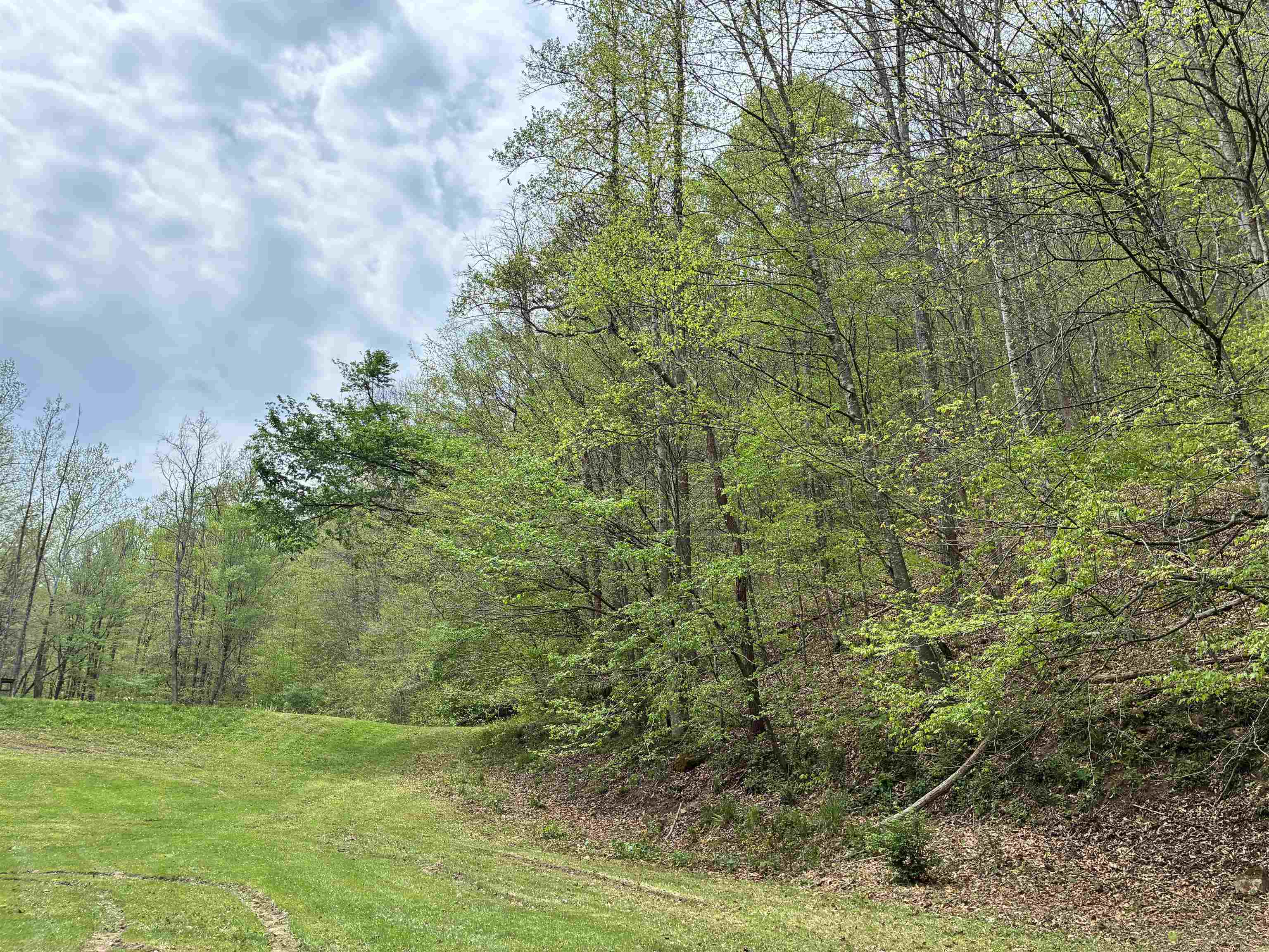 Land in Louisa 3