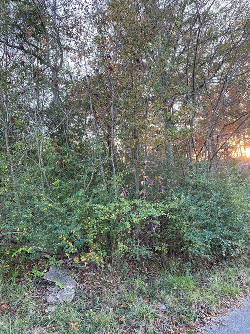 1091 County Road 1402, Cullman, AL, 35058-0582 | Card Image