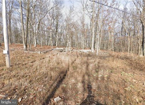 3942 Detour Rd, GREAT CACAPON, WV, 25422-3638 | Card Image