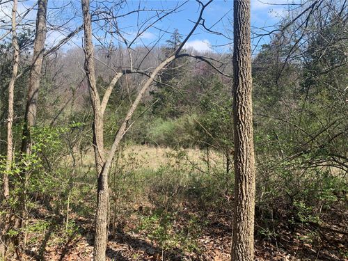 910 Old Eatherton Rd, Glencoe, MO, 63038-1338 | Card Image