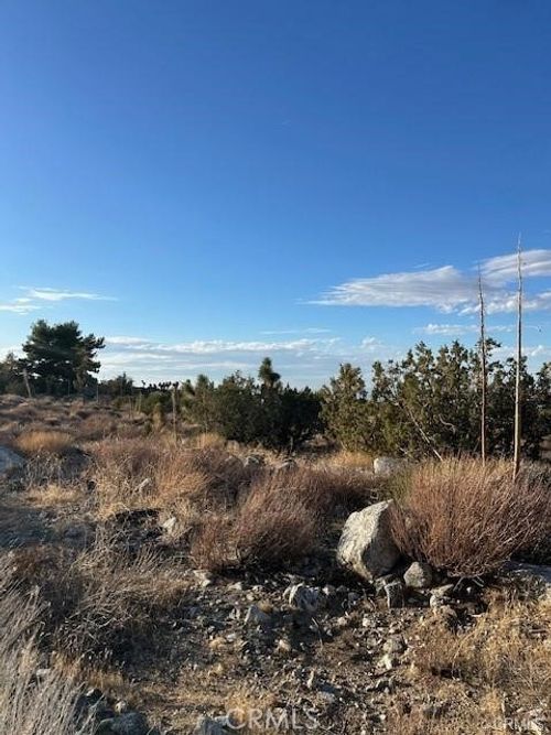 0 Yucca Rd, Pinon Hills, CA, 92372 | Card Image