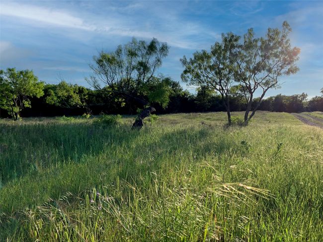 Trees around the East Portion of the Property | Image 11