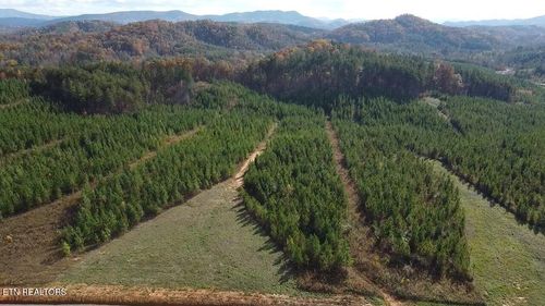 51 Three Point Rd, Madisonville, TN, 37354 | Card Image