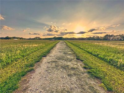 View of road with a rural view | Image 1