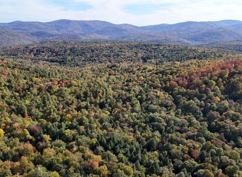 0 Black Bear Rd, Jamaica, VT, 05343 | Card Image