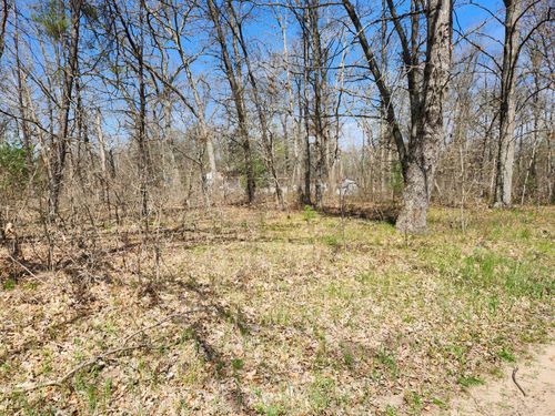 TBD S Princeton Way Ave, Baldwin, MI, 49304 | Card Image