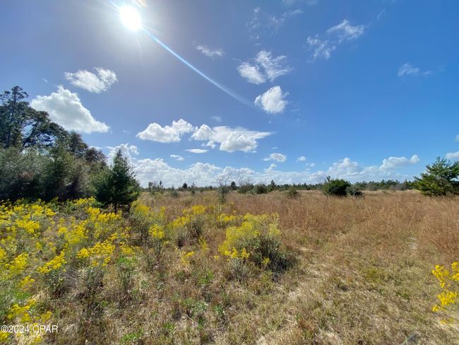 21332 Nw Melvin New Grade Rd, Home with 0 bedrooms, 0 bathrooms and null parking in Altha FL | Image 7
