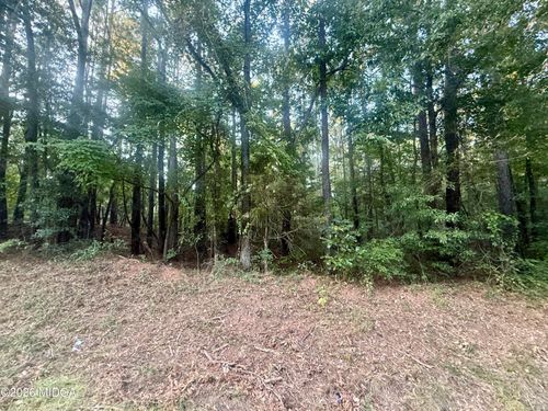 Lot 19 Towaliga Lake Drive, Jackson, GA, 30233 | Card Image