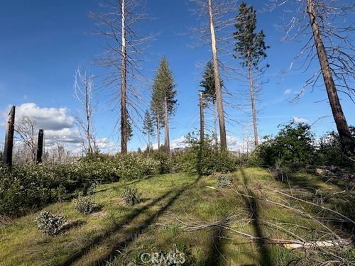 0 Bald Rock Rd, Berry Creek, CA, 95916 | Card Image