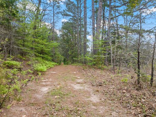 TBD County Road 2921, Hughes Springs, TX, 75656 | Card Image