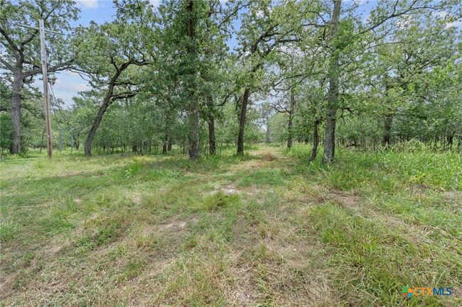 3597 Baker Rd, Home with 0 bedrooms, 0 bathrooms and null parking in Kingsbury TX | Image 14