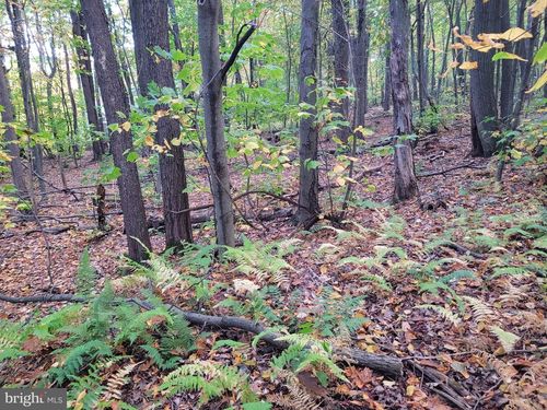 Lot 276 Ironmasters Sandlewood Way, Claysburg, PA, 16625 | Card Image