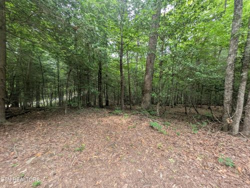 0 Model Farm Rd, Jamestown, TN, 38556 | Card Image