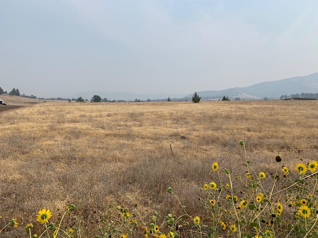 Land in Montague