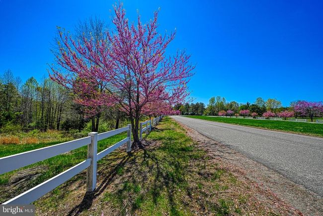 295 Hemlock Loop, House other with 4 bedrooms, 3 bathrooms and null parking in MINERAL VA | Image 52
