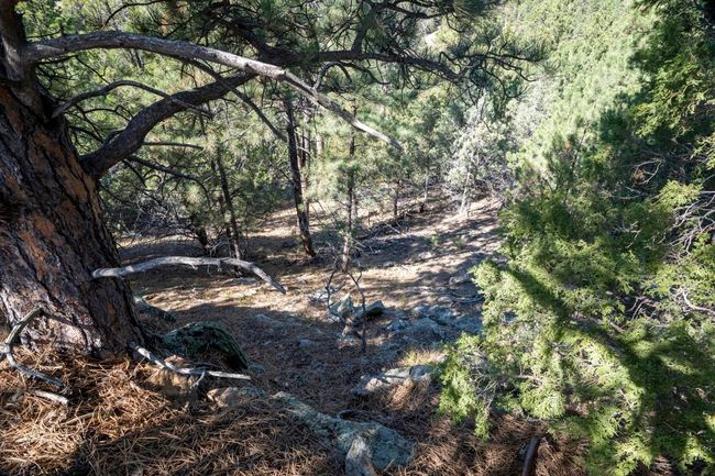 Lot 4 Sunset Ridge Road, Home with 0 bedrooms, 0 bathrooms and null parking in Newcastle WY | Image 26