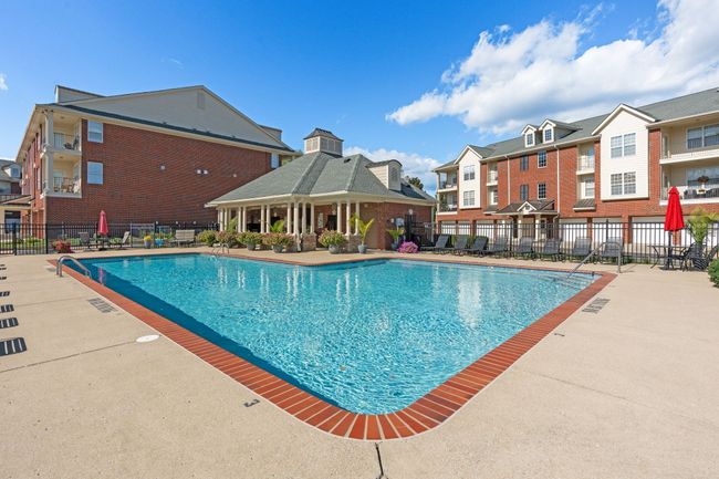 Enjoy Fun in the Sun at the Pool | Image 28