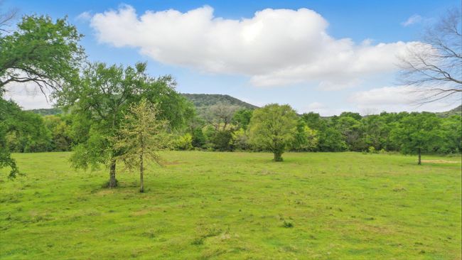 Pasture | Image 6