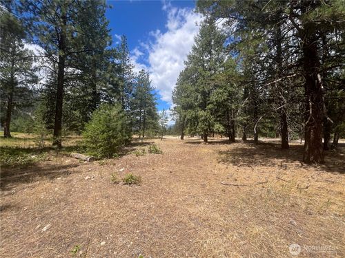 4 Mazama Meadows Ln, Mazama, WA, 98833 | Card Image