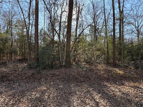 TBD Lazy Oak Dr, Livingston, TX, 77351 | Card Image