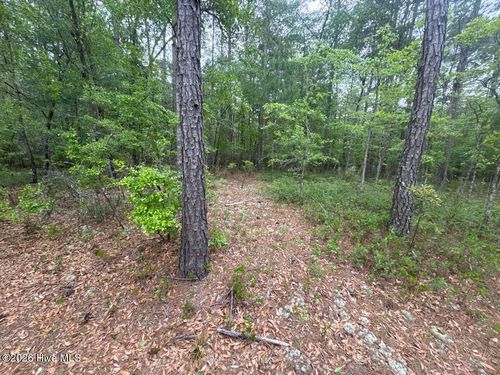 5, 6, 7 53 Off Highway, Atkinson, NC, 28421 | Card Image