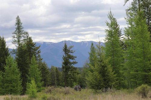1 Meadow Springs, Fortine, MT, 59918 | Card Image