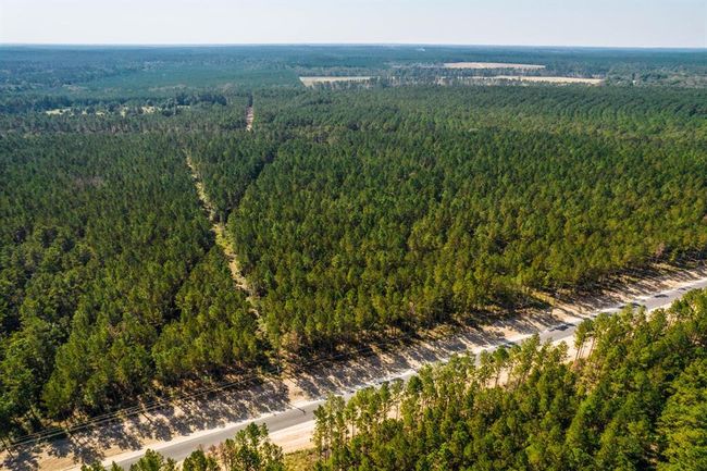 Bordering Sam Houston National Forest, this community is surrounded by nature's beauty. | Image 5