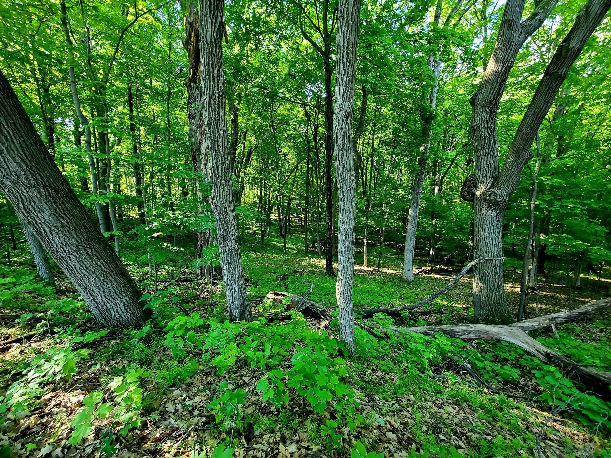 Alabama St, Saint Croix Falls, WI 54024
