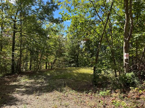 #10-2 Treetop Dr, Hayesville, NC, 28904 | Card Image