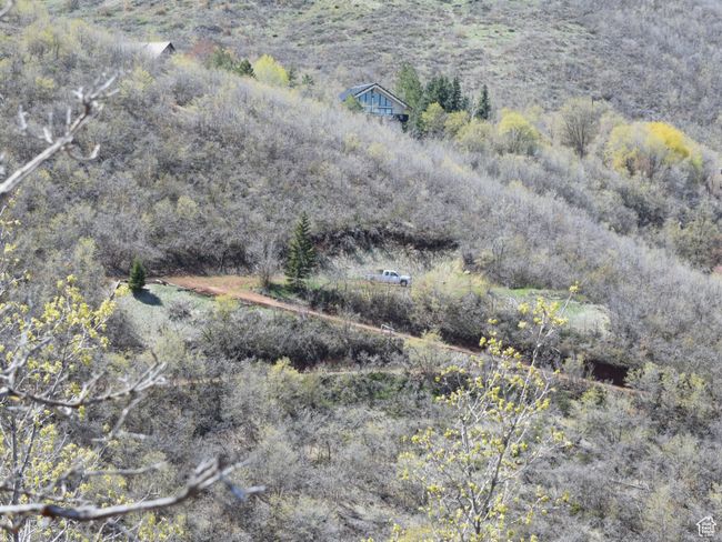 Distant view of lots. | Image 4