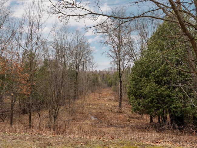 37-web-or-mls-A7405991 | Image 15