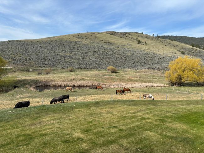 View of mountain feature with a rural view | Image 75