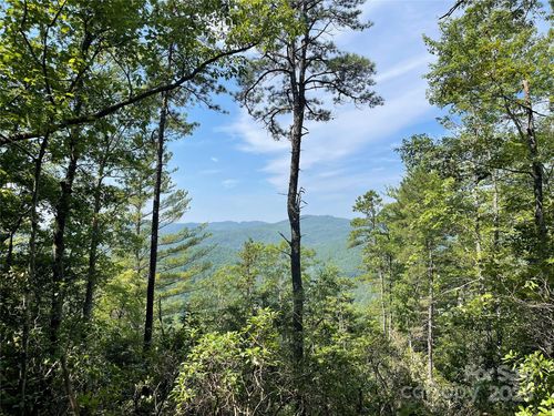 tract-ii-TBD Morgan Drive, Penrose, NC, 28766 | Card Image