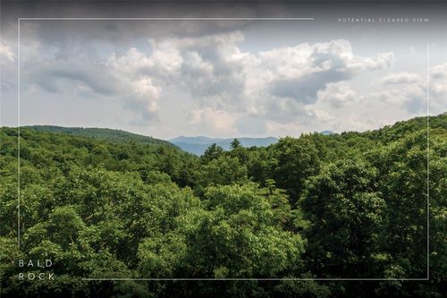 50 Maidenhaire Ln, Sapphire, NC, 28774 | Card Image