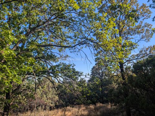 000 Seaman Gulch Rd, Bella Vista, CA, 96008 | Card Image