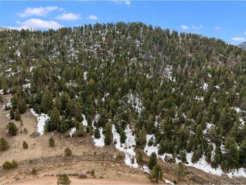 278 Penrose Cir, FLORISSANT, CO, 80816 | Card Image