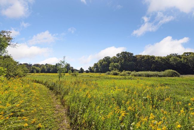 View from the owner's nature trail | Image 30