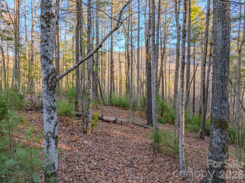 Lots 37 & 38 Settlers Ridge Road, Hendersonville, NC, 28739 | Card Image