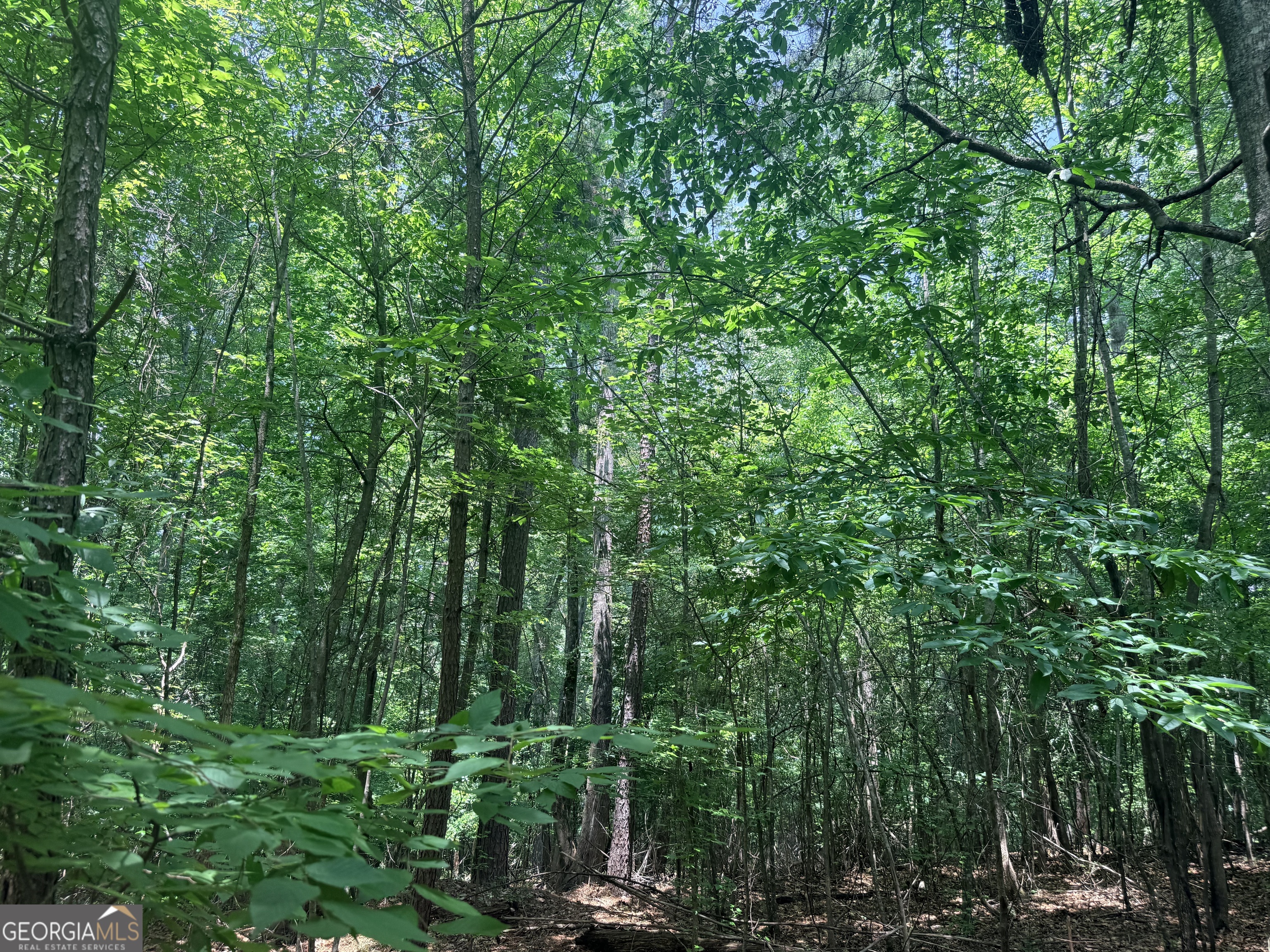 Land in Snellville