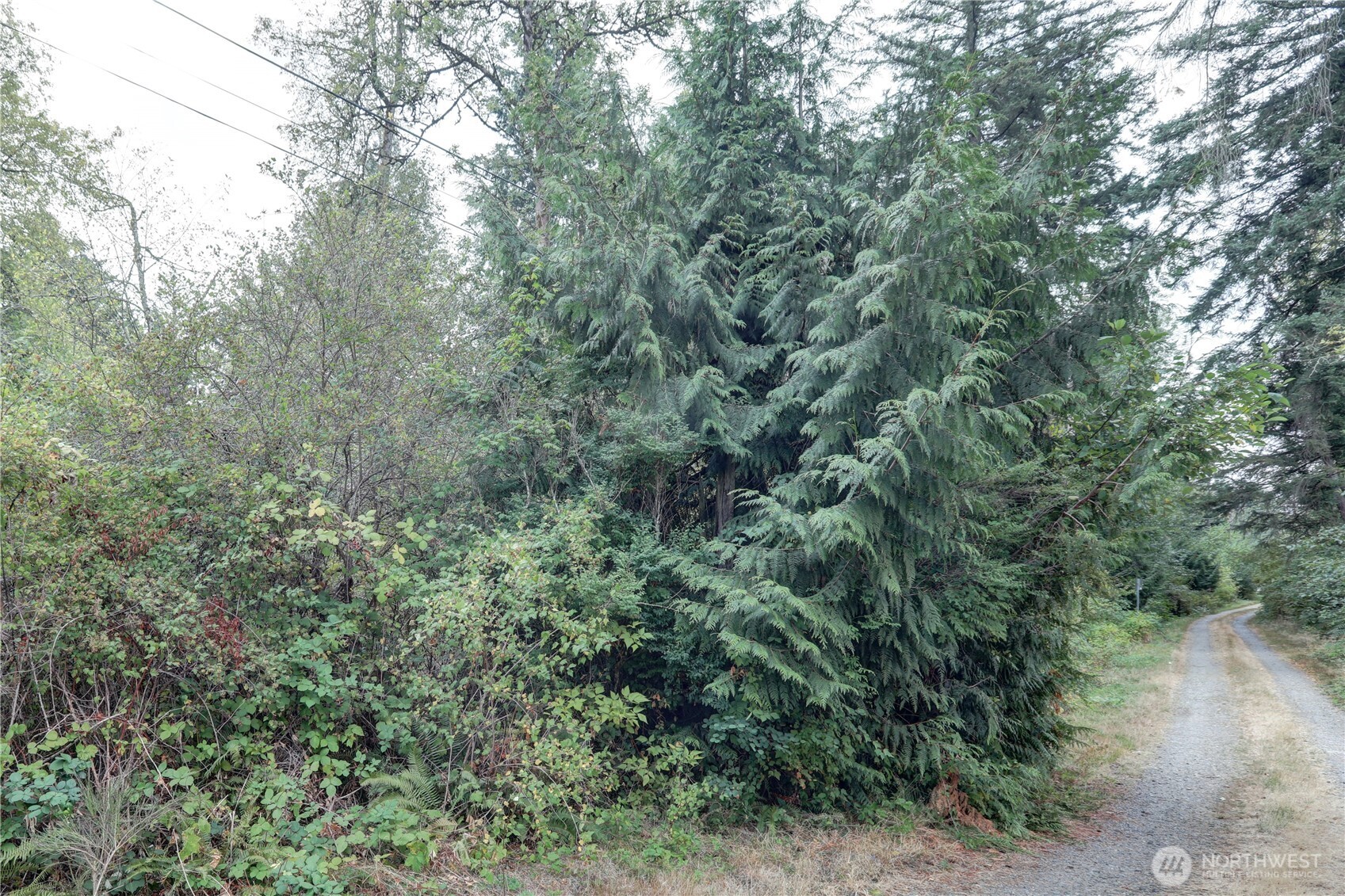 Land in Spanaway 5