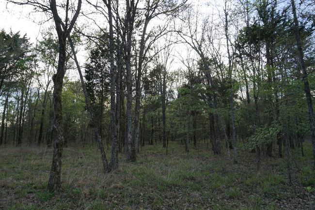 01 Private Rd 5401, Home with 0 bedrooms, 0 bathrooms and null parking in Malakoff TX | Image 15