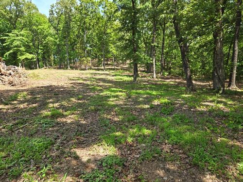 730 Swan Bay Dr, Buchanan, TN, 38222-4210 | Card Image